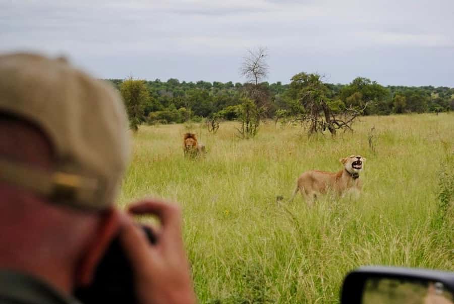 Hoedspruit: Sunrise Safari in Greater Kruger Private Reserve - Why the early start matters in Greater Kruger