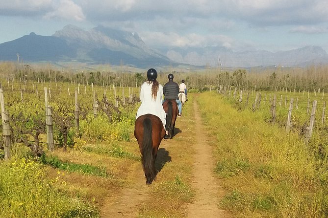 Horse Riding Wildlife Safari - What the 90-minute ride is really like