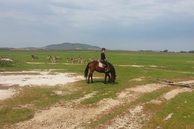 Horse Riding Wildlife Safari - Who should book this ride?