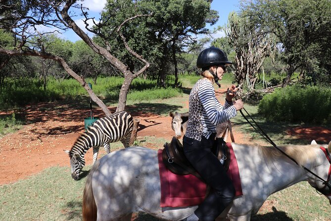 Horseback Safari Adventure in Hartbeespoort from Johannesburg - Hartbeespoort Dam adds a scenic finish