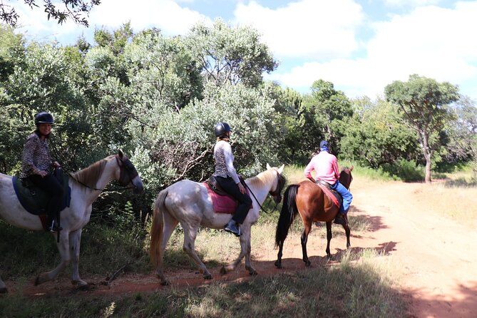 Horseback Safari Adventure in Hartbeespoort from Johannesburg - Who will enjoy this outing most