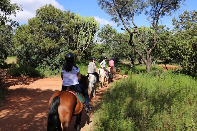 Horseback Safari Adventure in Hartbeespoort from Johannesburg - Why wildlife feels different from horseback