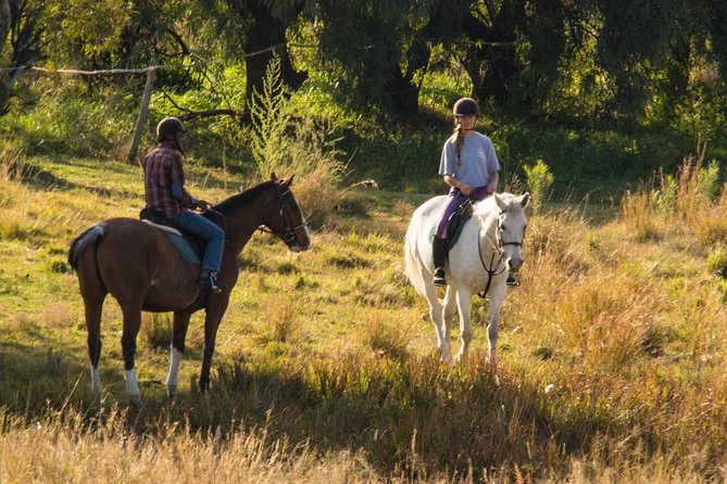 Horseback Small-Group Trail Rides in Muldersdrift - Key points before you saddle up