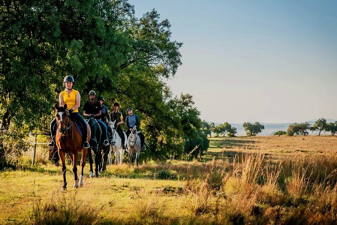 Horseback Small-Group Trail Rides in Muldersdrift - Starting at Shepherd’s Fold Stables