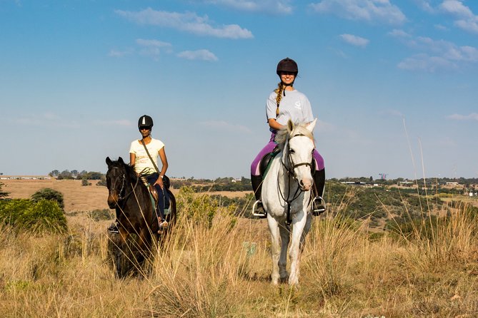Horseback Small-Group Trail Rides in Muldersdrift - Meeting horses suited to different abilities