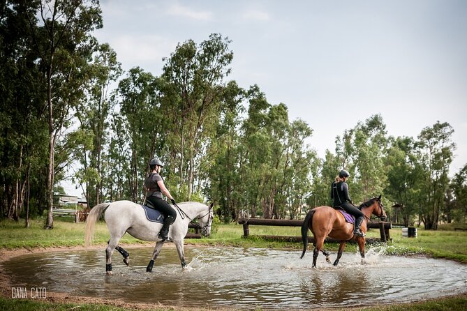 Horseback Small-Group Trail Rides in Muldersdrift - Following farm trails near Muldersdrift