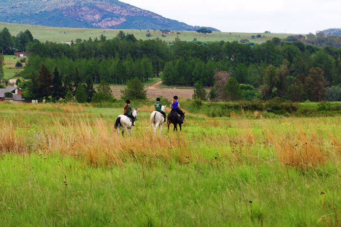 Horseback Small-Group Trail Rides in Muldersdrift - What the small group changes