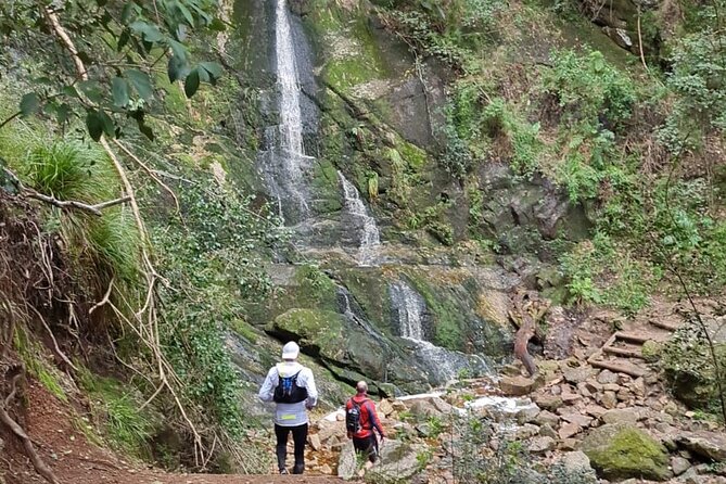 Incredible Table Mountain Guided Day Hike or Trail Run - What this Table Mountain outing is really offering