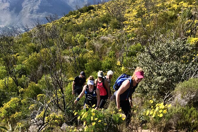 Incredible Table Mountain Guided Day Hike or Trail Run - Weather is part of the route, not a footnote