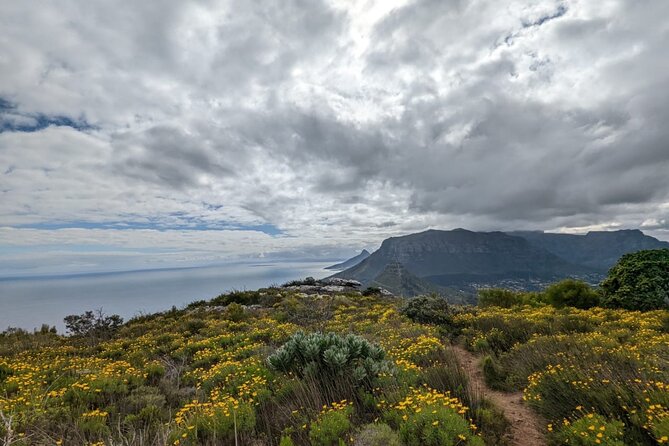 Incredible Table Mountain Guided Day Hike or Trail Run - Who will get the most from this experience?