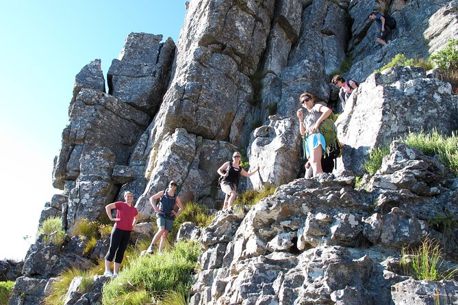 India Venster Route: Hiking in Table Mountain from Cape Town - Starting With a Hotel Pickup in Cape Town