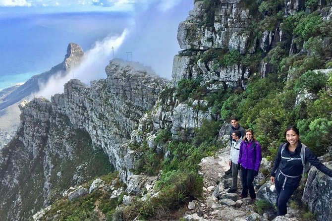 India Venster: sensational half-day route up Table Mountain - Key points to know before booking
