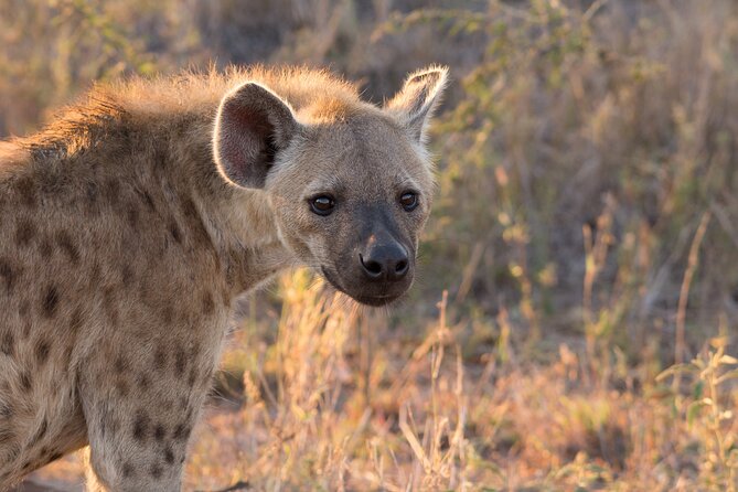 iSimangaliso Sunset Game Drive - Why the Eastern Shores makes a good evening outing