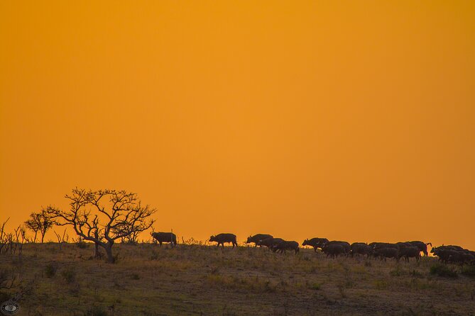 iSimangaliso Sunset Game Drive - The pickup from St Lucia and the start of the drive