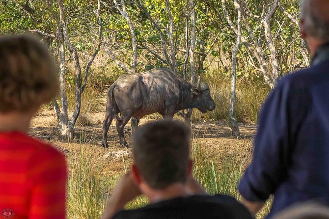 iSimangaliso Wetland Park, Full Day Tour - Starting from St Lucia at 8:00 am