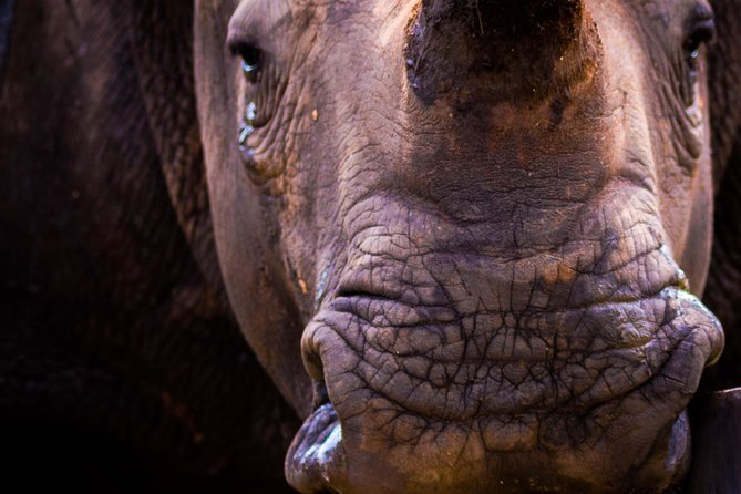 iSimangaliso Wetland Park, Night Drive Safari - Why a St Lucia night drive feels different