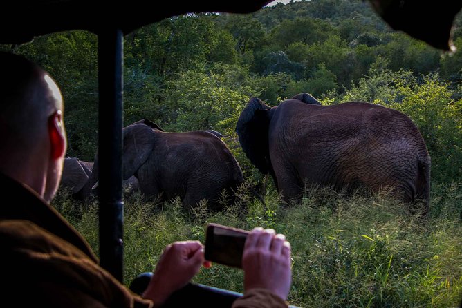 iSimangaliso Wetland Park, Night Drive Safari - The 8:00 pm start at Heritage House