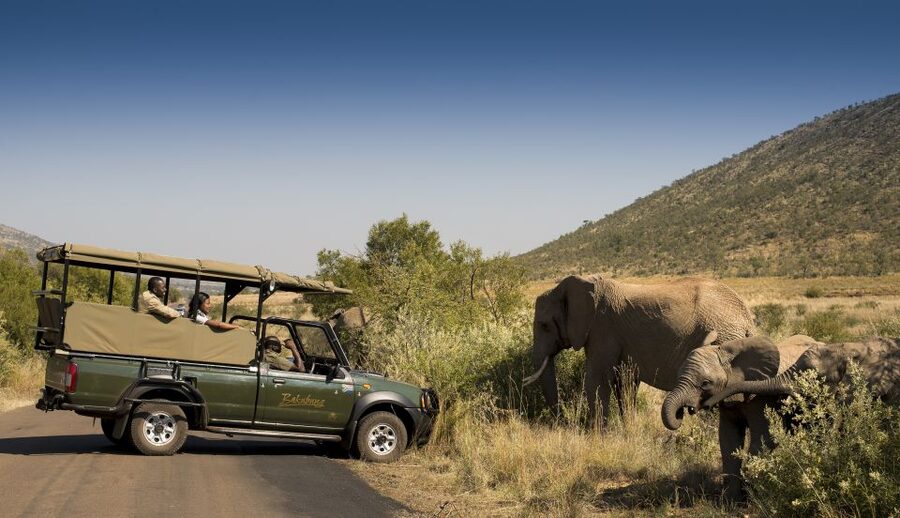 Johannesburg: 2-Day 4-Star Pilanesberg Safari - What four drives really add