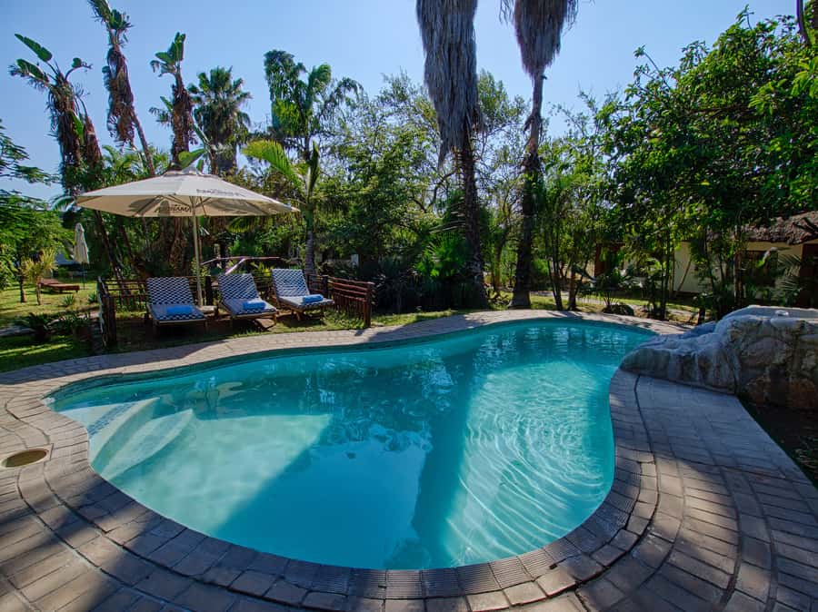 Johannesburg: 3-Day Classic Kruger National Park Safari Tour - Key details before you book