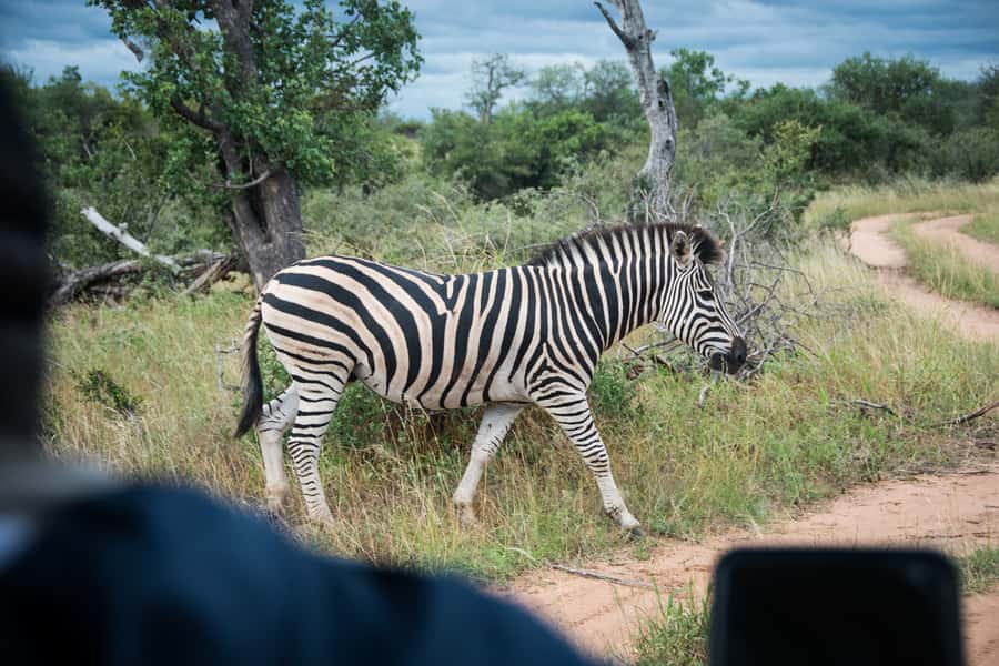 Johannesburg: 3-Day Classic Kruger National Park Safari Tour - Day 3: Sunrise, breakfast, and the Three Rondavels