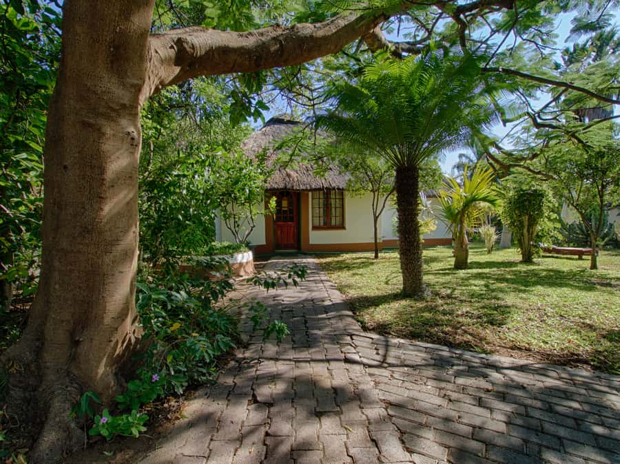 Johannesburg: 3-Day Classic Kruger National Park Safari Tour - What to pack and how to handle the timing