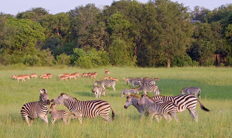 Johannesburg: 3-Day Panorama Tour with Kruger Park Safari - Day one: Dullstroom and the road into Mpumalanga