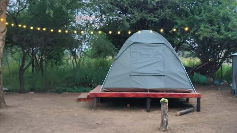 Johannesburg: 3-Day Pilanesberg Camping Adventure - Key points to know before booking