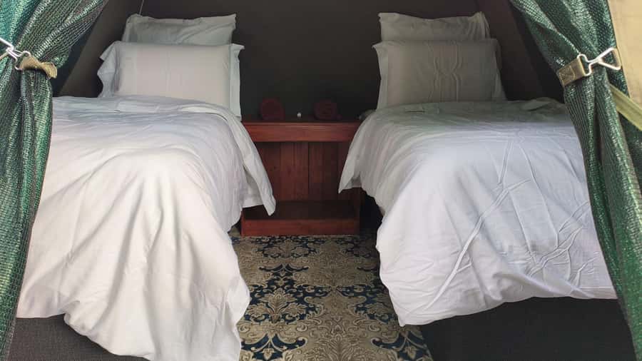 Johannesburg: 3-Day Pilanesberg Camping Adventure - Day two: the best rhythm for wildlife viewing