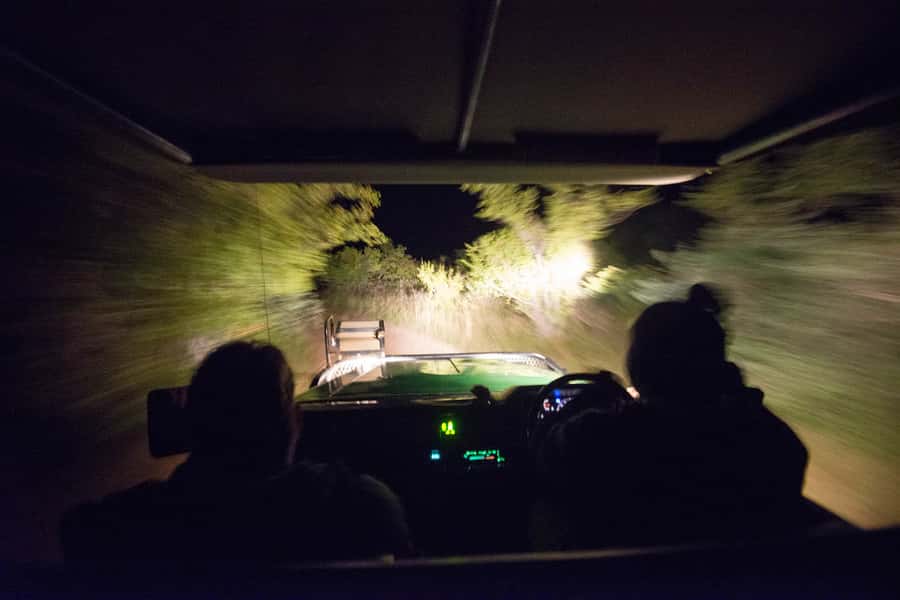 Johannesburg: 4-Day Classic Kruger National Park Safari - Key points before you book