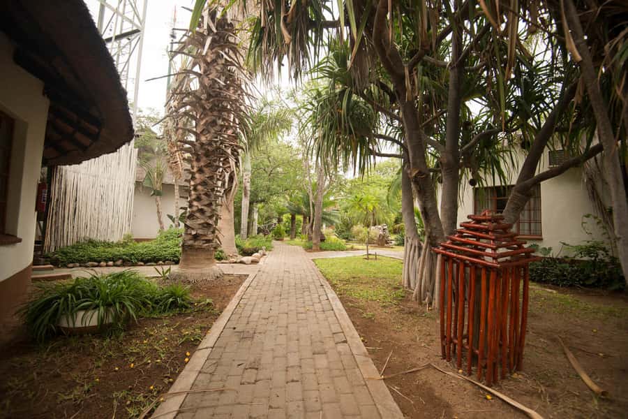 Johannesburg: 4-Day Classic Kruger National Park Safari - Timing, airport advice, and who should book