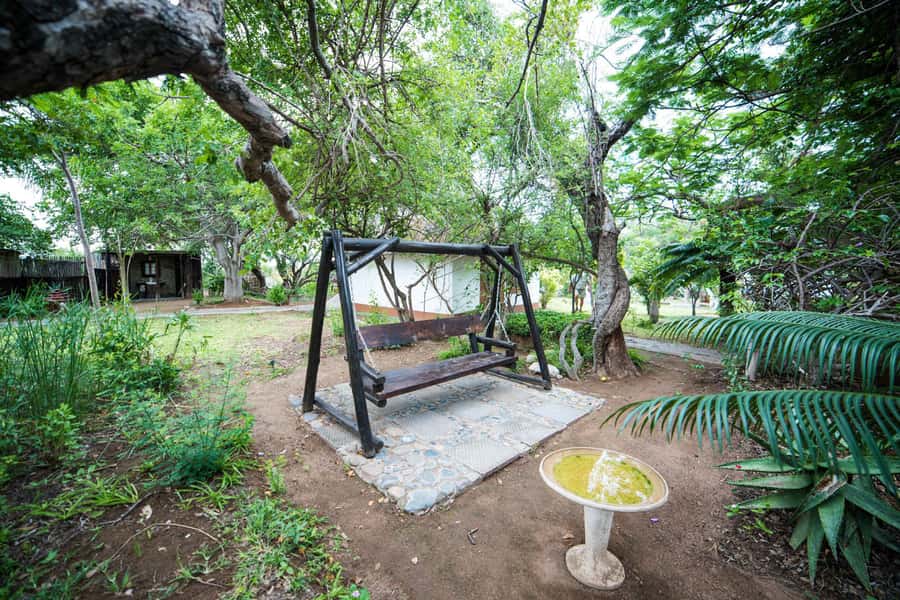 Johannesburg: 4-Day Classic Kruger National Park Safari - Day three: A full day inside Kruger National Park