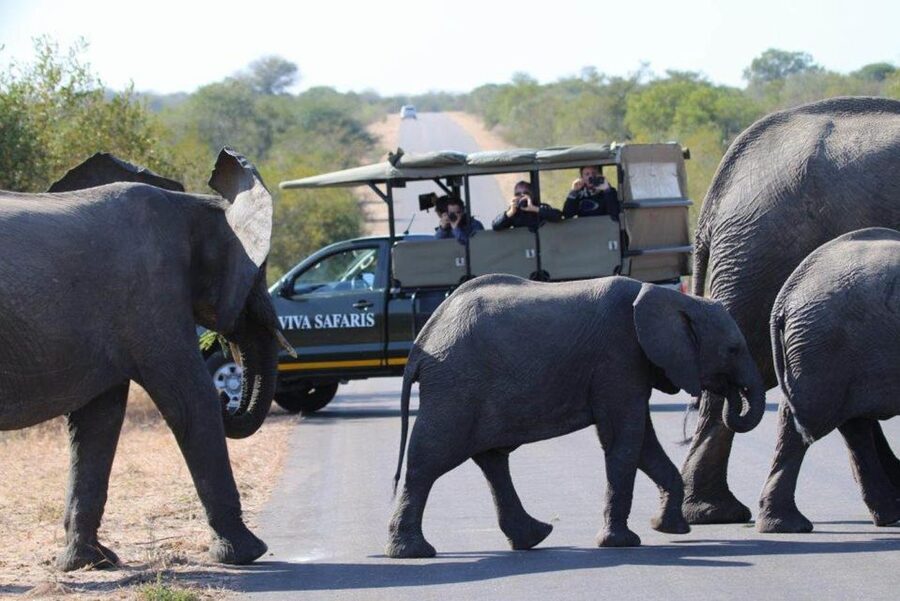 Johannesburg: 4-Day Classic Kruger National Park Safari - What the $1,120 price really includes