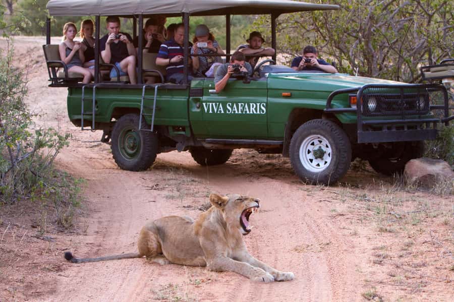 Johannesburg: 4-Day Classic Kruger National Park Safari - Day one: From Johannesburg to the first sunset drive