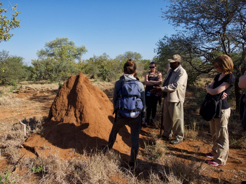Johannesburg: 6-Day Luxury Kruger National Park Safari - Moholoholo’s conservation story