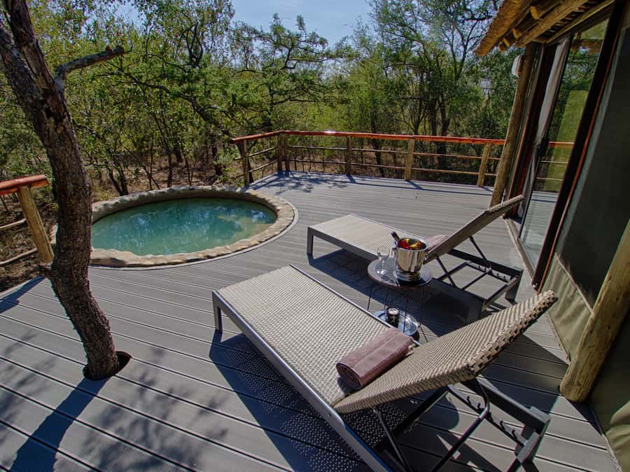 Johannesburg: 6-Day Luxury Kruger National Park Safari - The second Kruger day