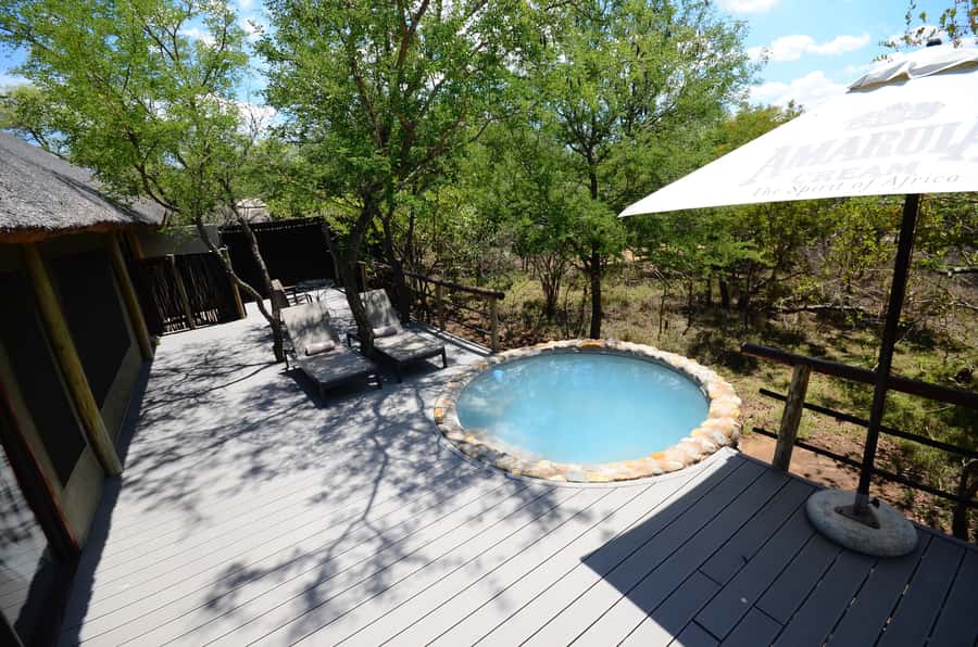 Johannesburg: 6-Day Luxury Kruger National Park Safari - What the $1,868 price really covers