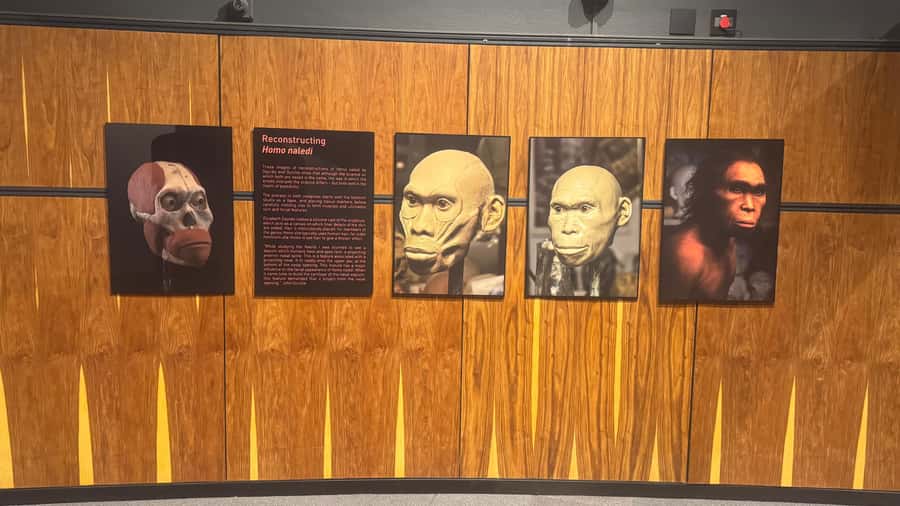 Johannesburg: Cradle of Humankind & Harties Aerial Cableway - Why combine the Cradle of Humankind with Harties Cableway?