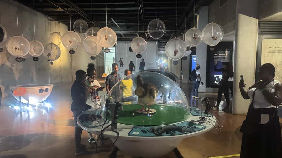 Johannesburg: Cradle of Humankind & Harties Aerial Cableway - What makes the Cradle of Humankind meaningful