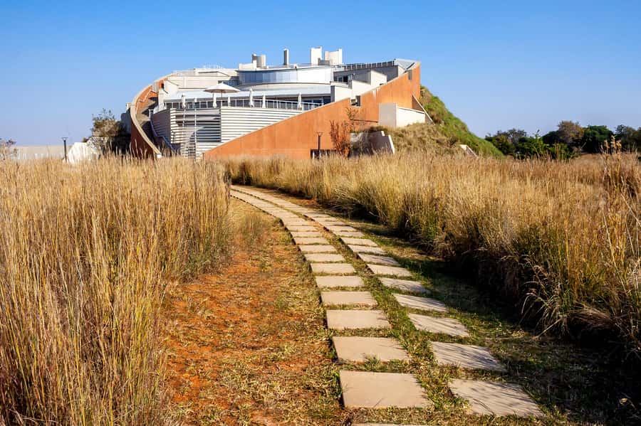 Johannesburg: Lion Park Safari and Cultural Village Tour - From Johannesburg to the Cradle of Humankind