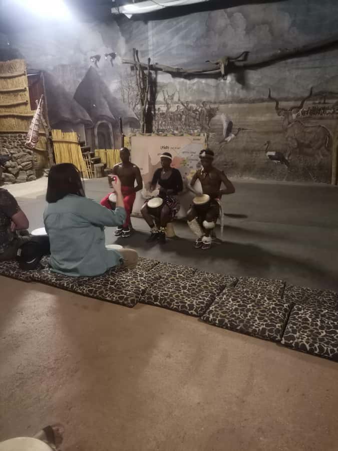 Johannesburg: Lion Park Safari and Cultural Village Tour - Practical advice for making the day easier