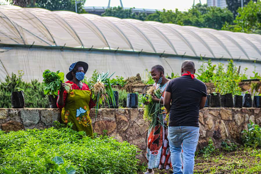 Johannesburg: Pan-African Cooking & Dinning Experience - Timing, transport, and practical planning