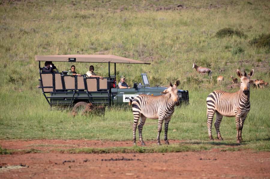 Johannesburg: Rhino and Lion Nature Reserve Safari - Leaving Johannesburg for Bothongo Rhino & Lion Nature Reserve