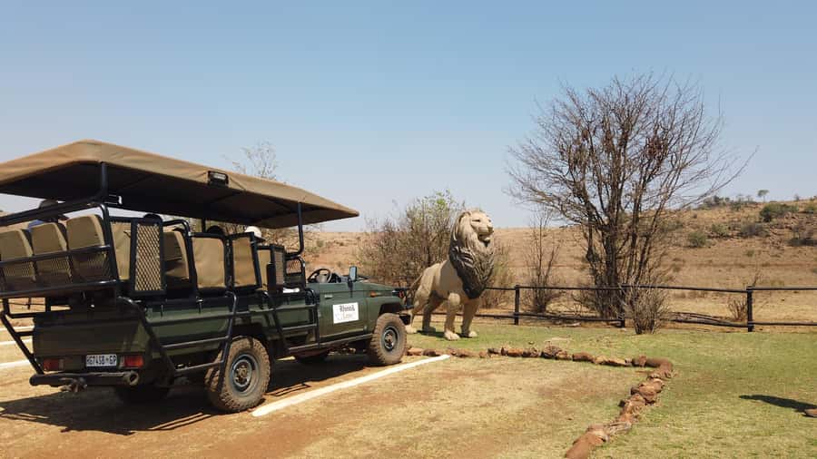 Johannesburg: Rhino and Lion Nature Reserve Safari - Who should book this Johannesburg safari?