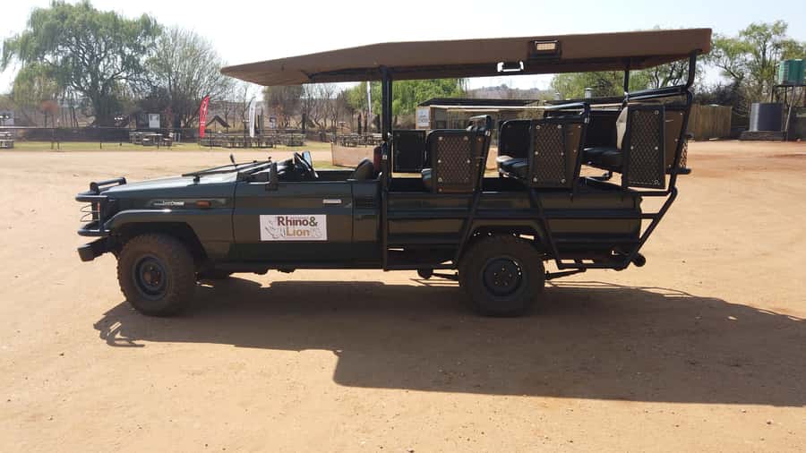 Johannesburg: Rhino and Lion Nature Reserve Safari - How to get the most from the 4.5-hour schedule