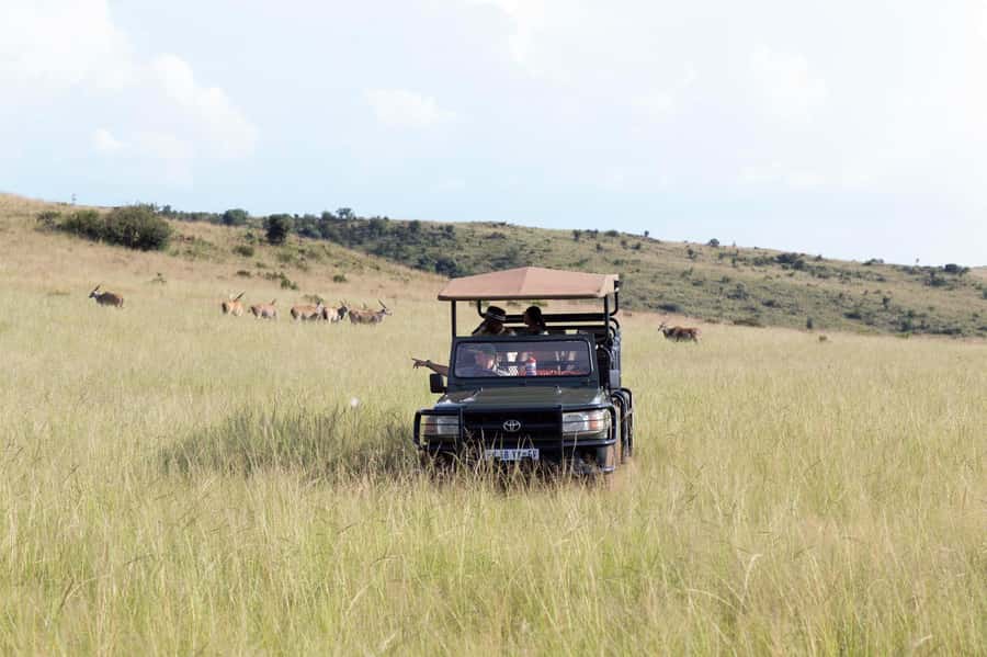 Johannesburg: Rhino and Lion Nature Reserve Safari - Checking in and choosing the open vehicle