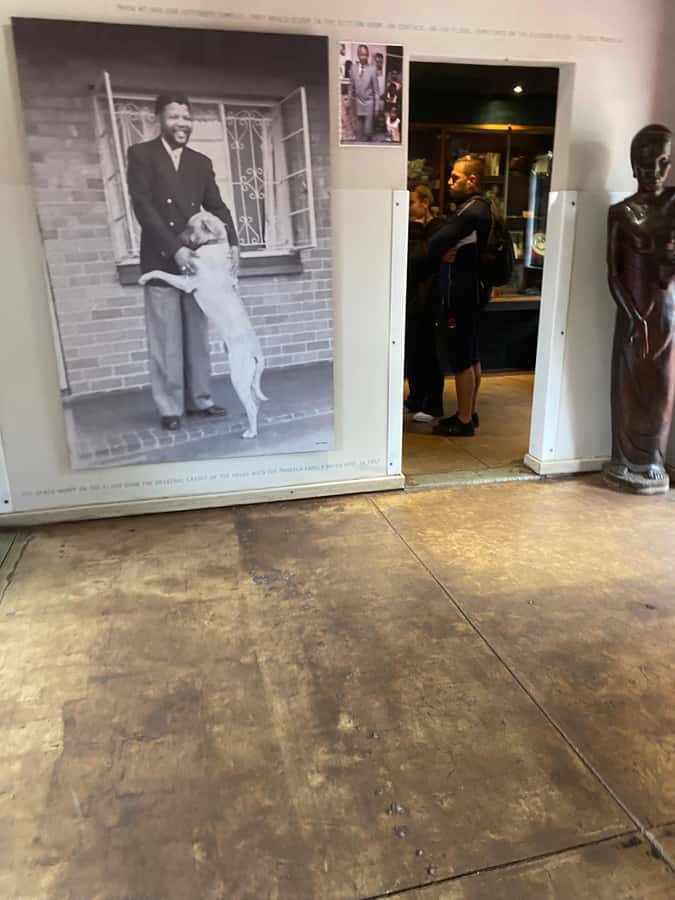 Johannesburg: Soweto & Apartheid Museum Half-Day Tour - Why this half-day tour works well in Johannesburg