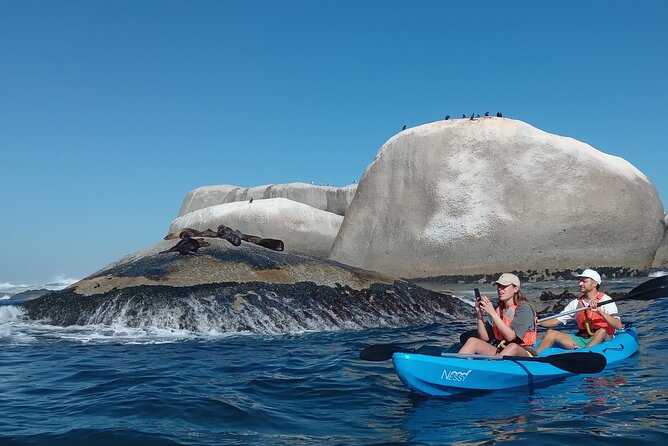 Kayak Adventure at Clifton Beach - Rock pools and kelp near Maiden’s Cove