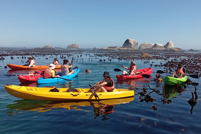 Kayak Adventure at Clifton Beach - What the $28.86 price gives you