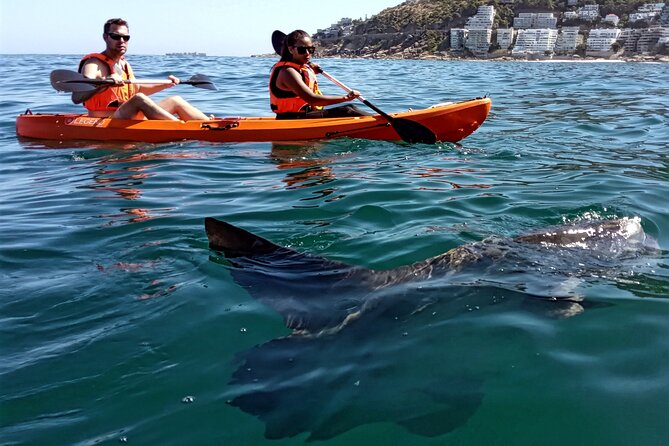 Kayak Adventure at Clifton Beach - Who will enjoy this Clifton kayak trip?