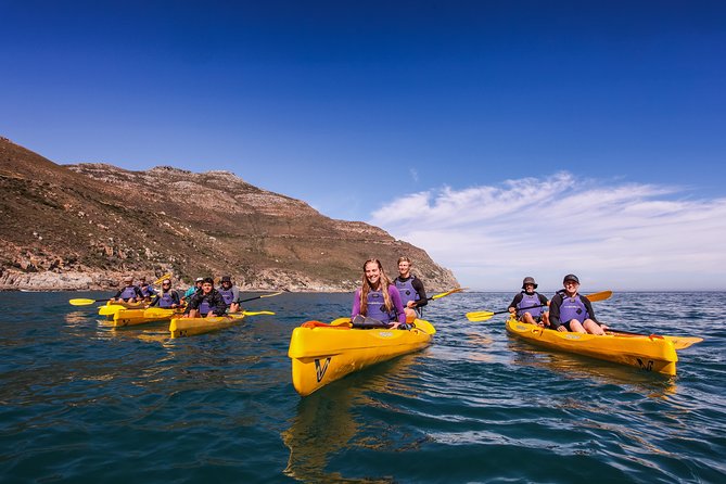 Kayak Chapman's Peak and Karbonkelberg in Hout Bay - Who will enjoy this Hout Bay outing